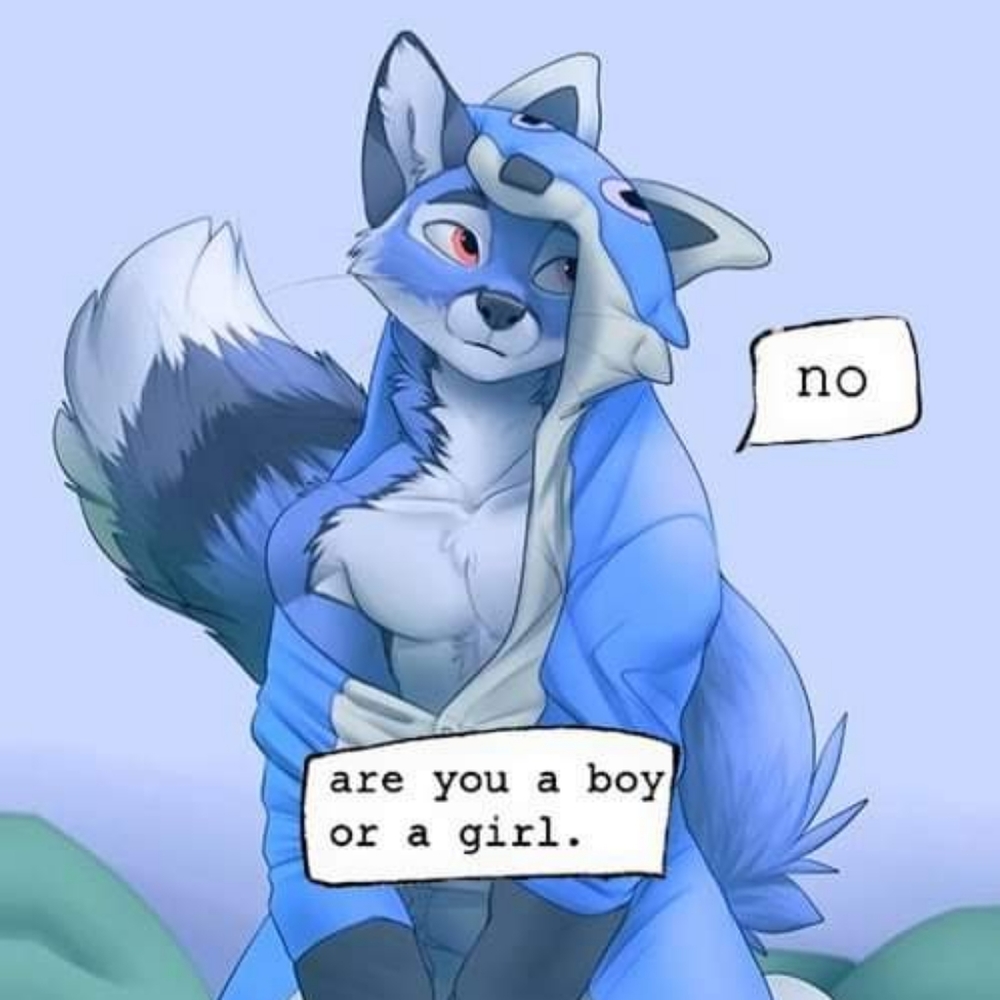 Hello! I'm Tobi & I use fae/faer & they/them pronouns! 🦊💙